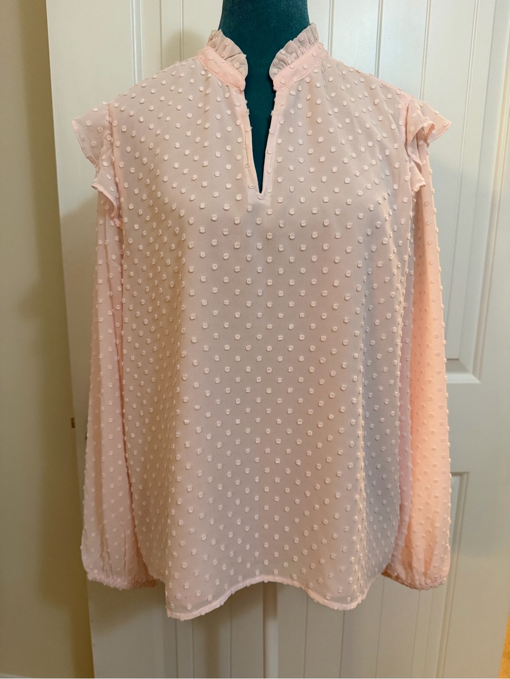 J. Crew Pale Pink Swiss Dot Ruffle-Trim Blouse Sz Large